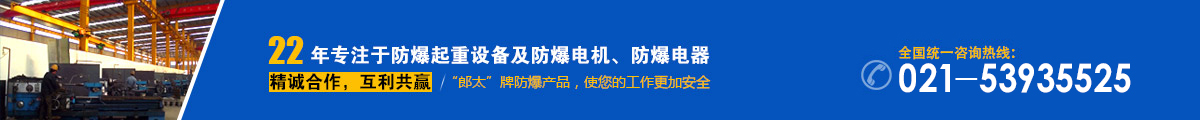 上海郎太防爆起重机有限公司